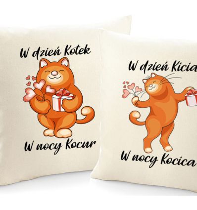 Poszewka wyluzowany rudy kot