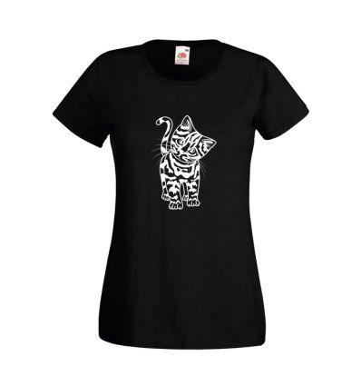 Koszulka Kitten Kotek