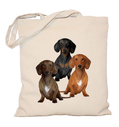 Torba z jamnikami Pies