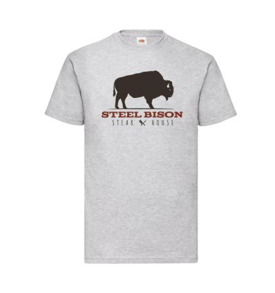 Koszulka męska Bison