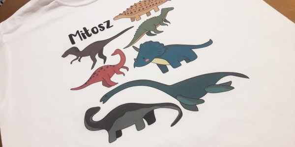 Dinozaury, czyli … dla chłopca