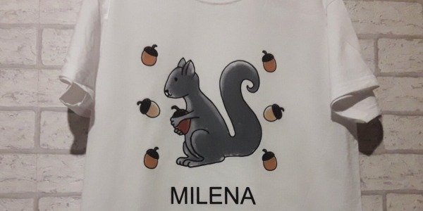 Koszulka z wiewiórką dla przedszkolaka