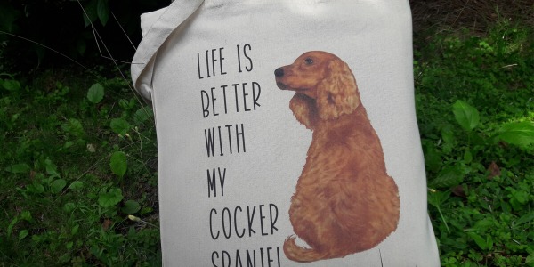 Co kupić dla psiarza? Co kupić dla kociary?