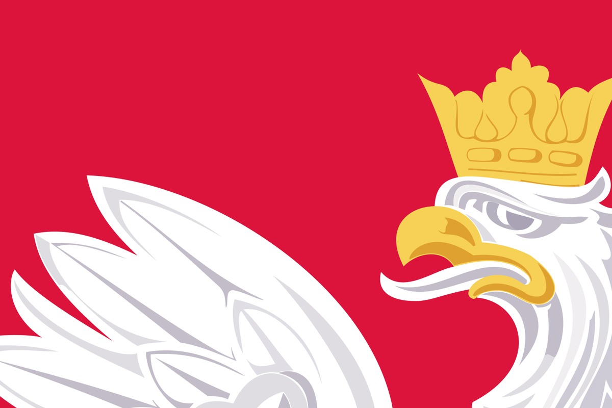 Koszulki patriotyczne dla dzieci - czy kupować?