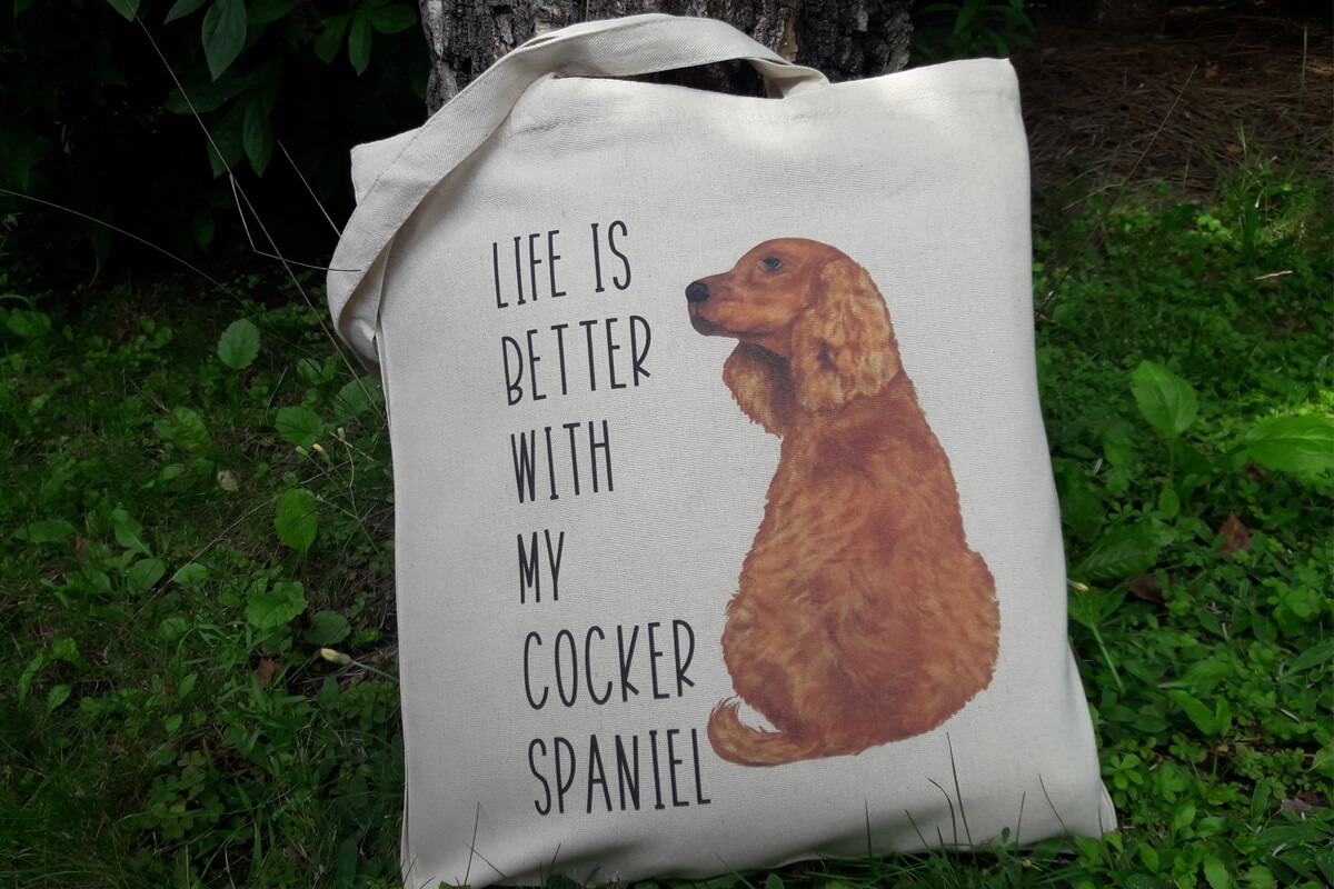 Co kupić dla psiarza? Co kupić dla kociary?